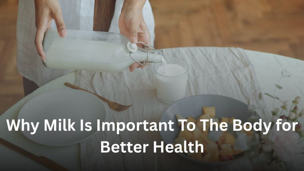 Why Milk Is Important To The Body for Better Health