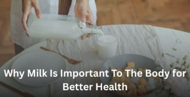 Why Milk Is Important To The Body for Better Health