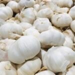What Are The Uses Of Garlic In Our Body