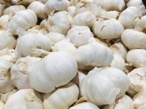 What Are The Uses Of Garlic In Our Body