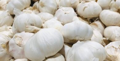 What Are The Uses Of Garlic In Our Body