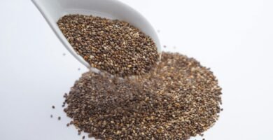 What Is The Benifits Of Taking Chia Seeds Everyday.